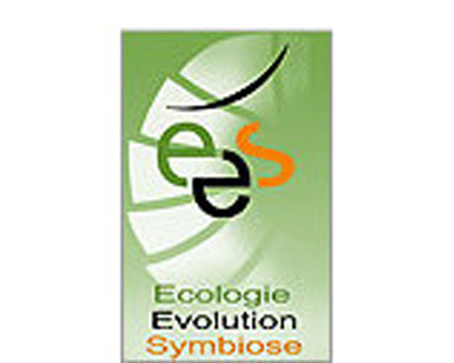 EES